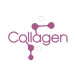 Collagen Foam