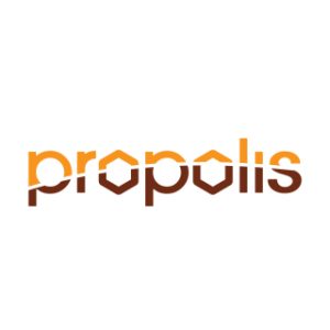 Pěna Propolis