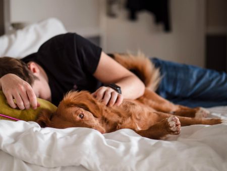 Spaní v posteli se psem: důležitá hygienická pravidla a rady pro výběr materiálů
