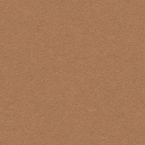 Dune 18