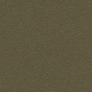 Dune 35