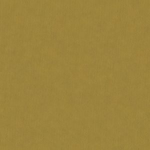 Lumen 48